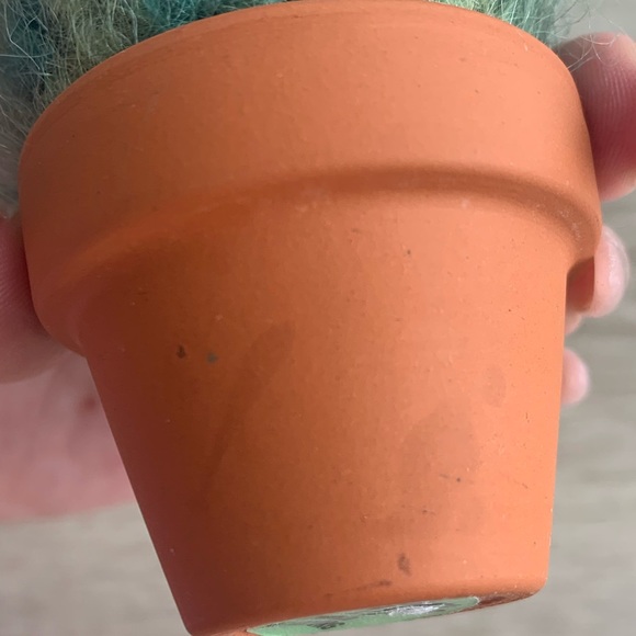 “Plants You Can’t Kill” by Shannon Gerard - Picture 5 of 5